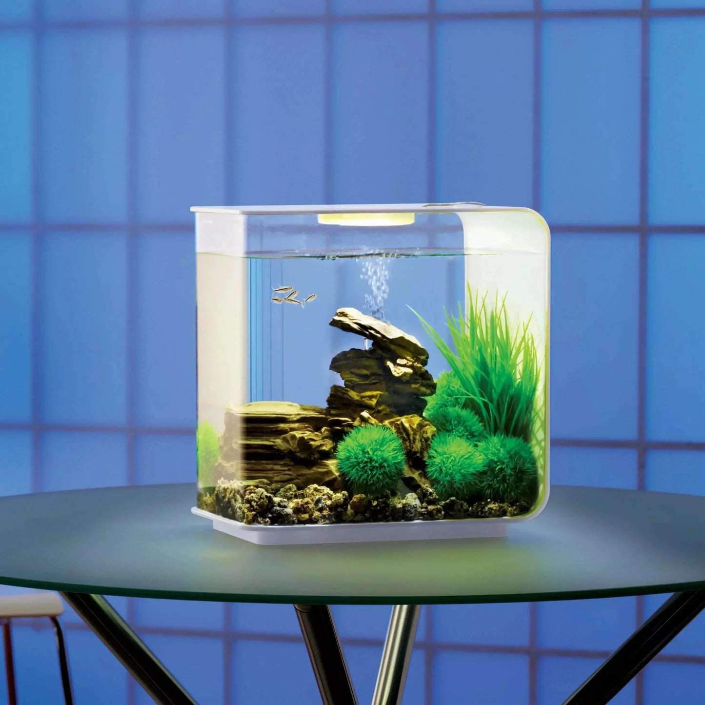 biOrb FLOW 15 Aquarium with Standard Light 4 gallon BiOrb