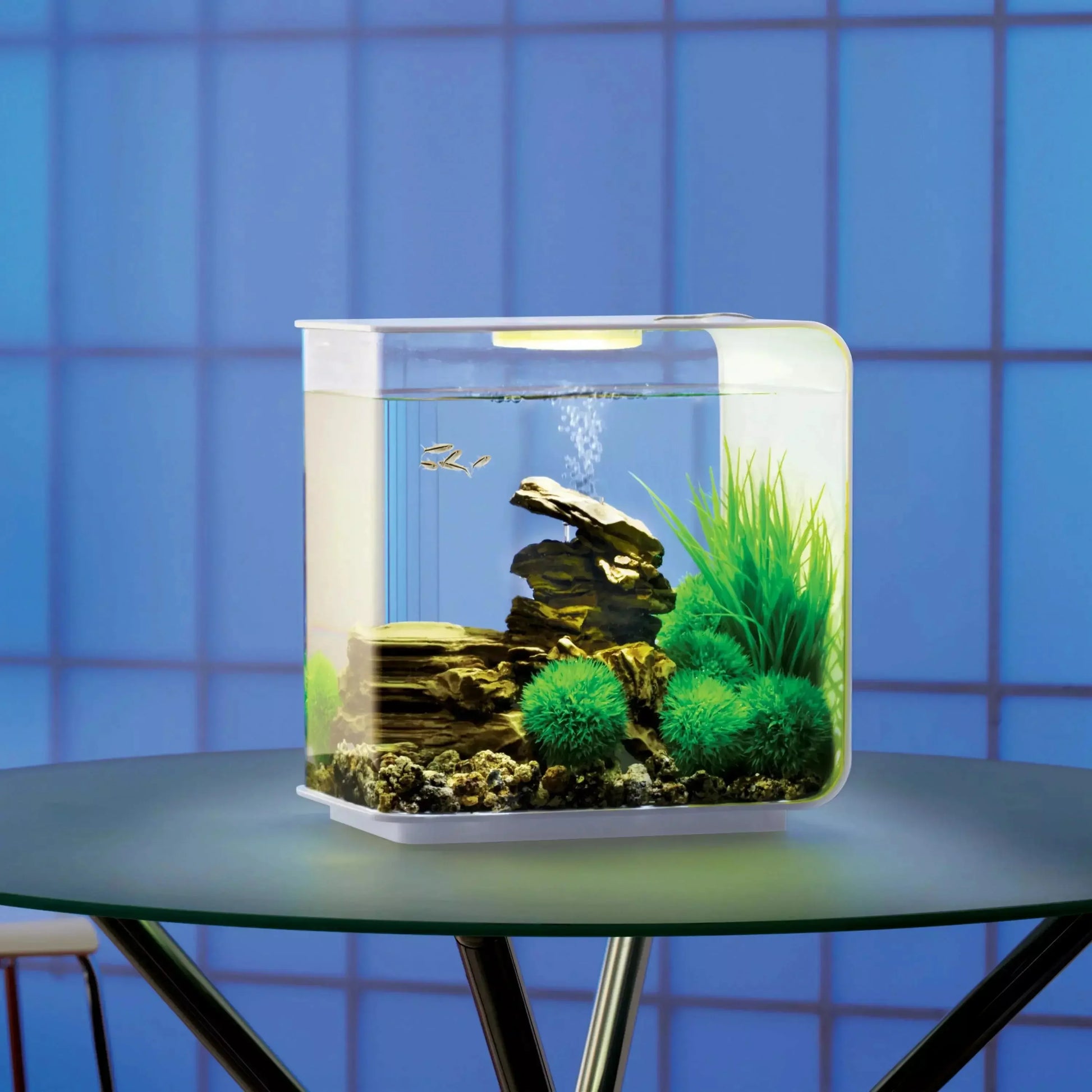 biOrb FLOW 15 Aquarium with Standard Light 4 gallon BiOrb