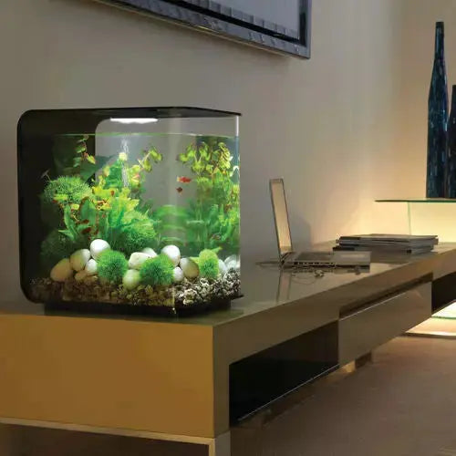 biOrb FLOW 30 Aquarium with Standard Light 8 gallon BiOrb