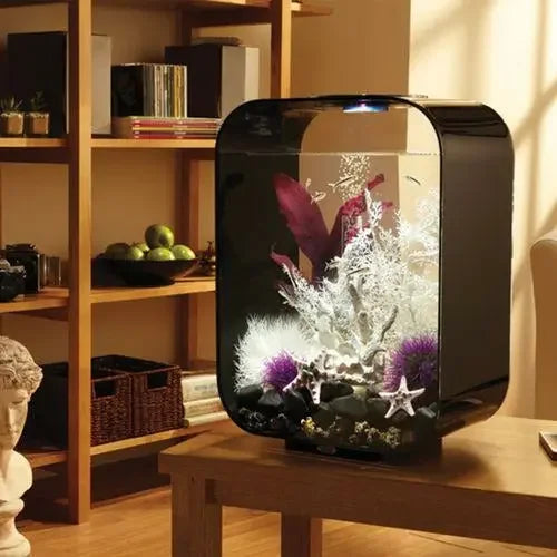 biOrb LIFE 15 Aquarium with Standard Light 4 gallon BiOrb