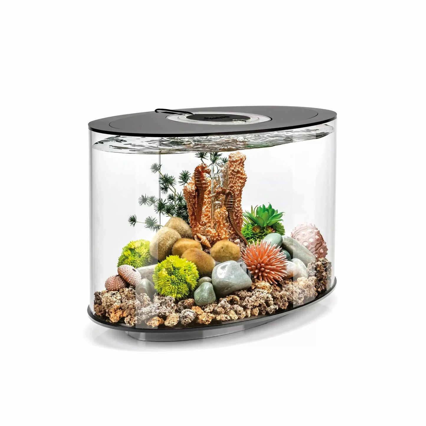biOrb LOOP 15 Aquarium with MCR Light 4 gallon BiOrb