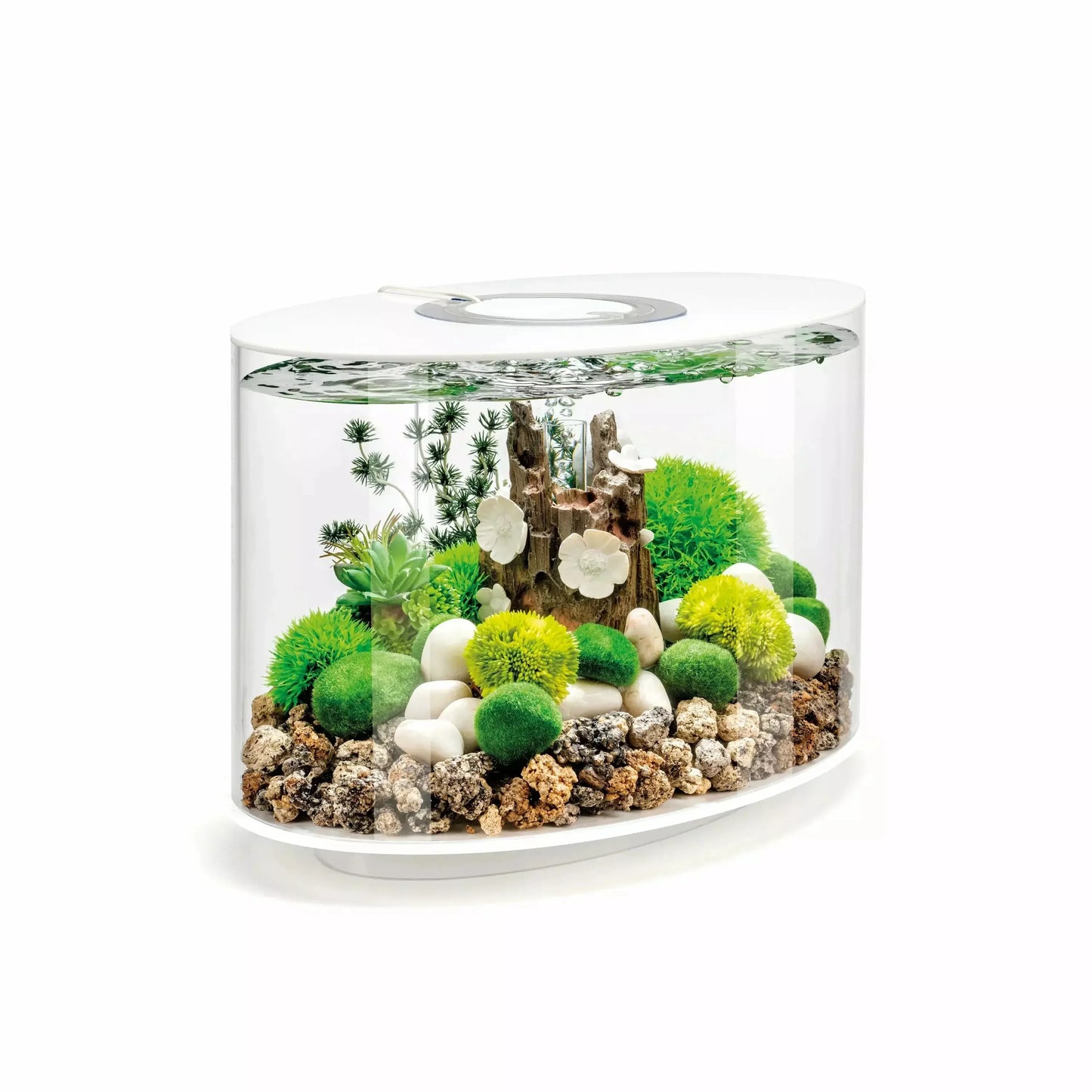 biOrb LOOP 15 Aquarium with MCR Light 4 gallon BiOrb