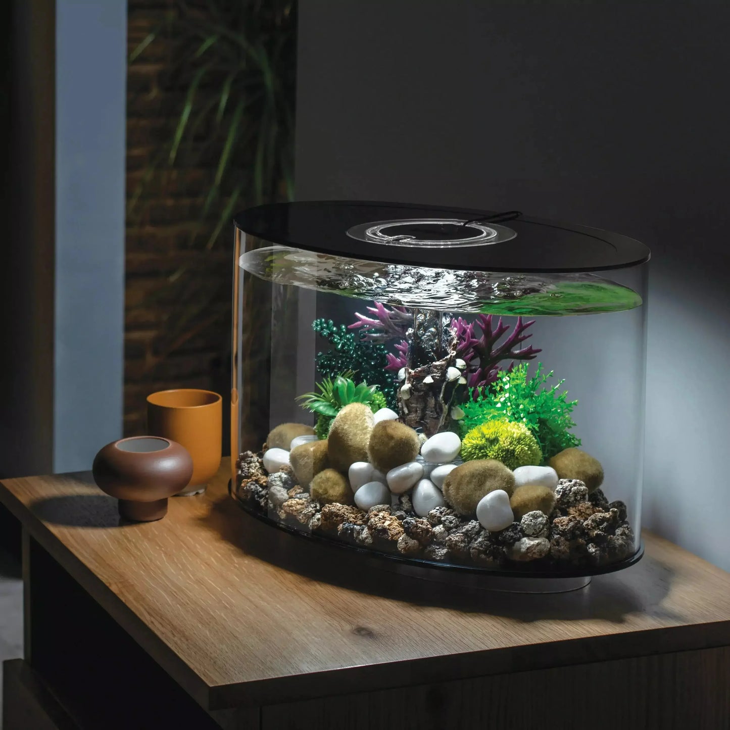 biOrb LOOP 15 Aquarium with Standard Light 4 gallon BiOrb