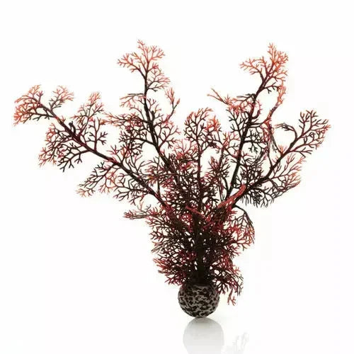 biOrb Sea Fan Aquarium Decor BiOrb
