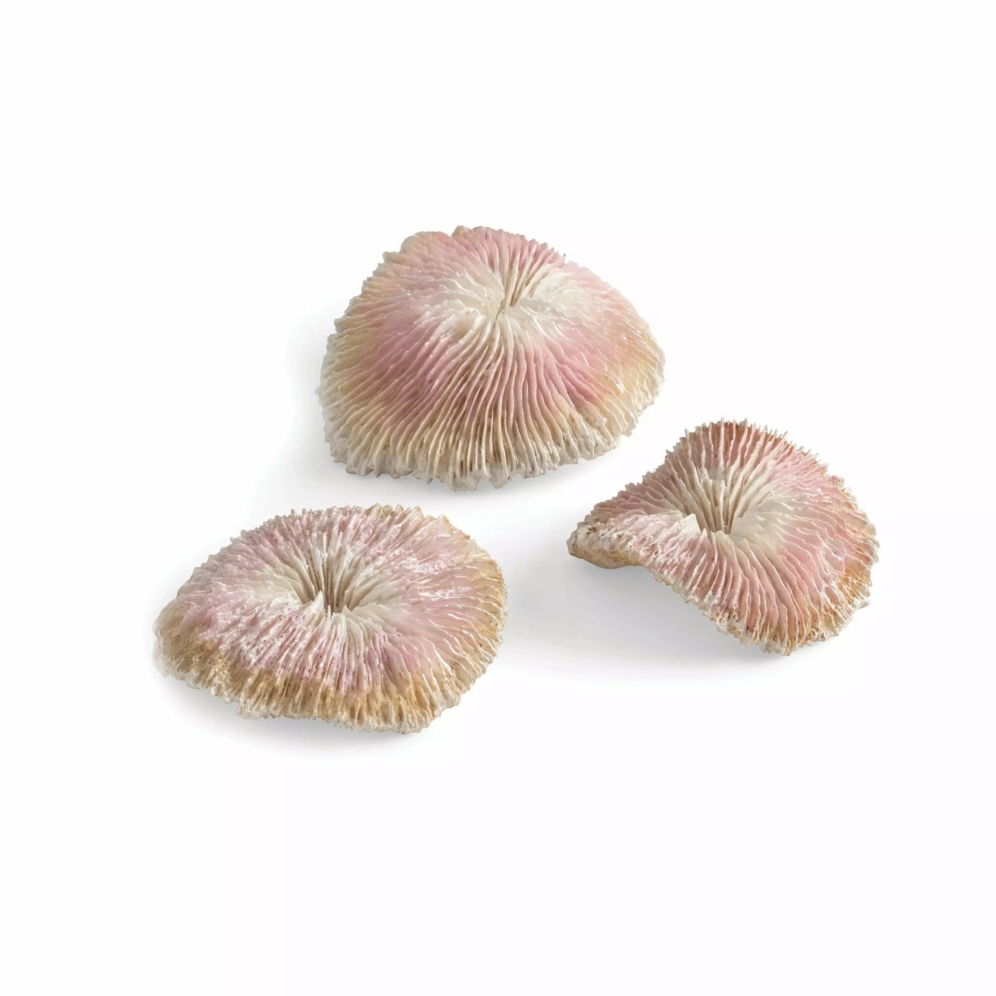 biOrb Seychelles Plate Coral Aquarium Decor Set of 3 BiOrb
