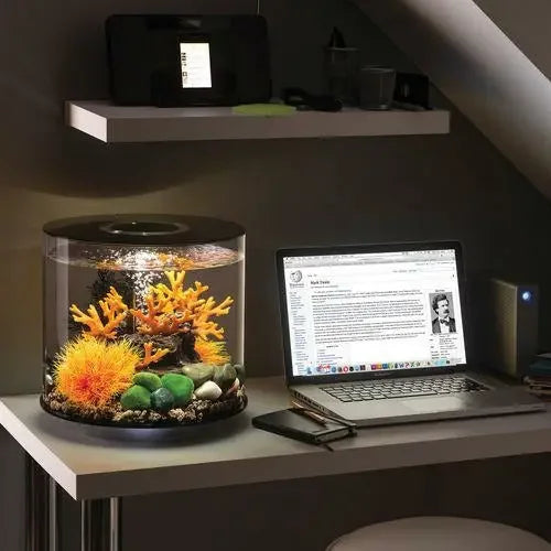 biOrb TUBE 15 Aquarium with MCR Light 4 gallon BiOrb