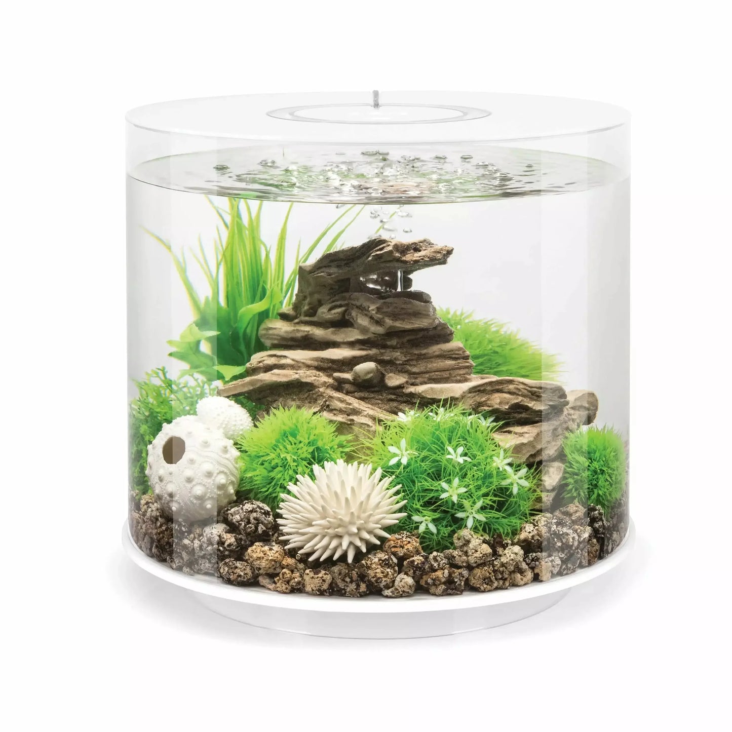 biOrb TUBE 15 Aquarium with MCR Light 4 gallon BiOrb