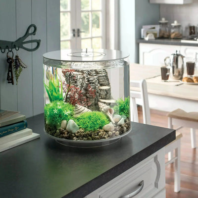 biOrb TUBE 15 Aquarium with Standard Light  4 gallon BiOrb CPD