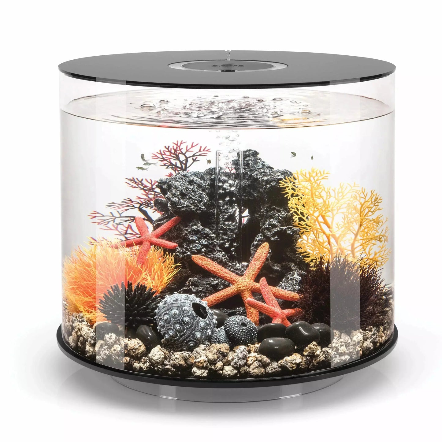 biOrb TUBE 35 Aquarium with Standard Light  9.2 gallon BiOrb