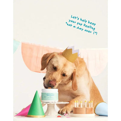 Bocce's Bakery Multivitamin 60 Count Soft Chew Dog Supplements - Talis Us