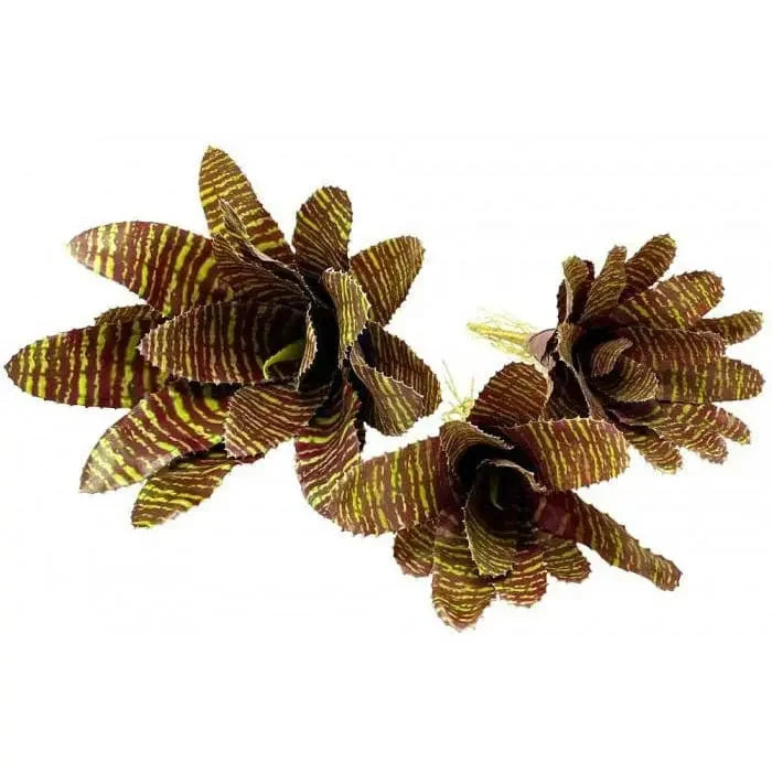 bromeliads Plants Enclosure Decor Tank Decoration Habitat Aquarium Accessories luga