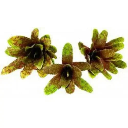 bromeliads Plants Enclosure Decor Tank Decoration Habitat Aquarium Accessories luga