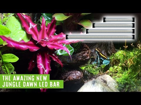 Arcadia Reptile JungleDawn-LED Bar. The Most Powerful Plant Growth Flood LED
