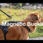 Magnetic Belka Comfort Harness Adjustable Reflective Vest for Larger Dogs 