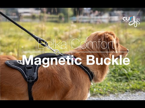 Magnetic Belka Comfort Harness Adjustable Reflective Vest for Larger Dogs