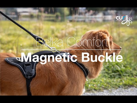 Magnetic Belka Comfort Harness Adjustable Reflective Vest for Larger Dogs 