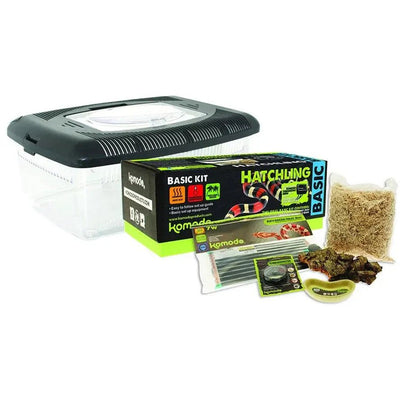 Komodo Basic Hatchling Kit Habitats for Reptiles - Talis Us