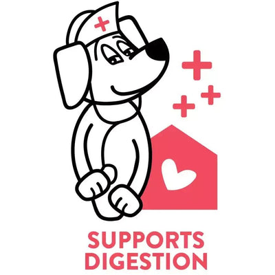 Shameless Pets A Cluck A Day (Pre/Probiotic) Dental Sticks Dog Treats - Talis Us