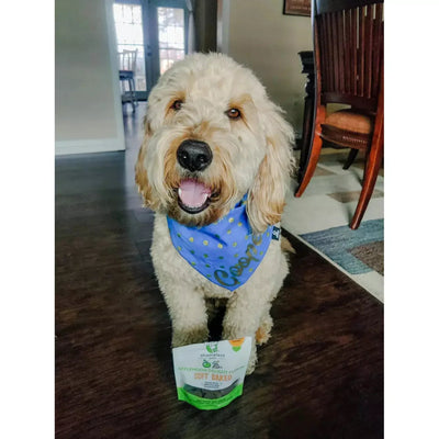 Shameless Pets Applenoon Delight Soft Baked Dog Treats - Talis Us