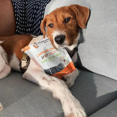 Shameless Pets Carrate Chomp Dental Sticks Dog Treats - Talis Us