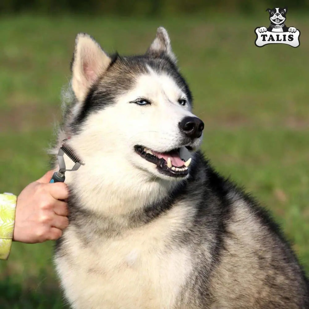 A person grooms a happy Siberian Husky with the Talis Us Pet Dematting Comb for Dogs outdoors on grass. The dog has a thick gray and white coat and looks to the side, mouth slightly open. The Talis Us logo appears in the top right corner.