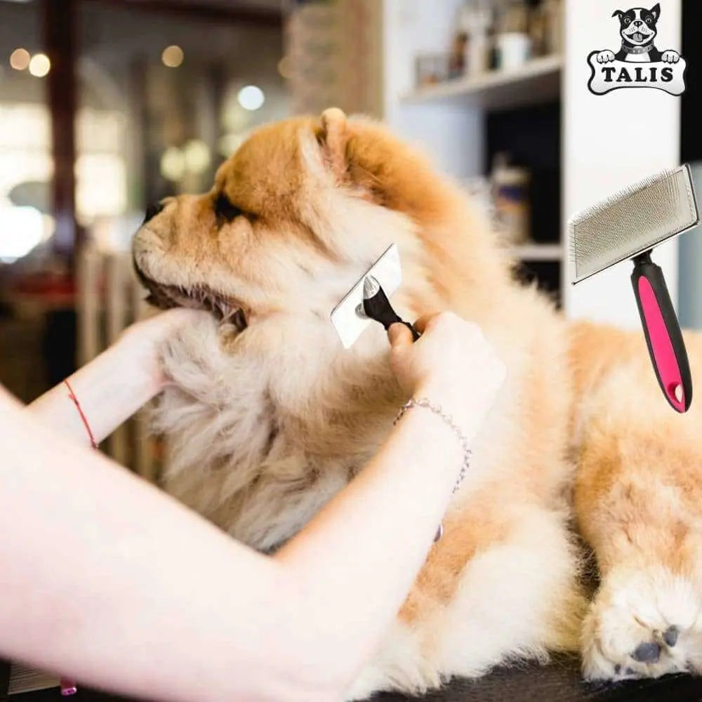A person brushes a fluffy Chow Chow with the Talis Us Pet Grooming Brush for Shedding with Comfortable Grip at a salon. Another Talis Us brush with a red handle and the Talis logo appears in the upper right corner.