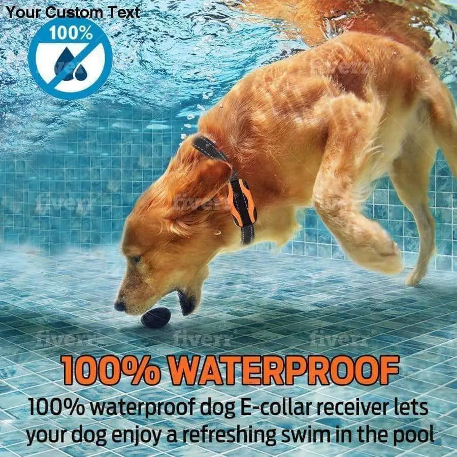 A golden retriever wearing a Talis Us Rechargeable Bark Collar for Dogs - Dual Pack dives underwater for a black ball. Text reads 100% WATERPROOF, highlighting the waterproof, rechargeable design by Talis Us for active pups.