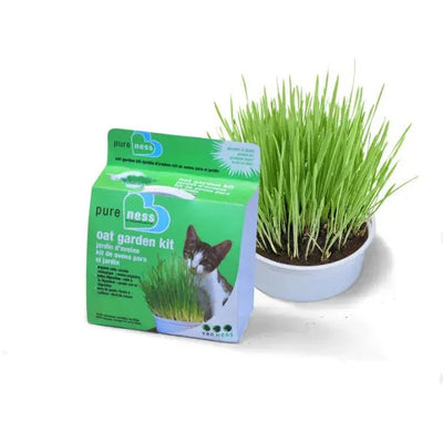 Van Ness Plastics Pureness Oat Garden Kit 4 oz - Talis Us