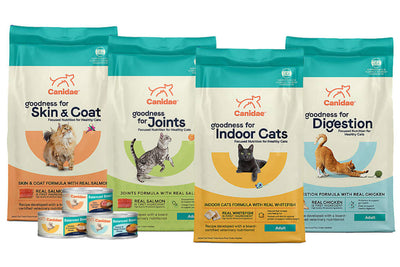 Victor Cat Food Recall Replacement Suggestions: Canidae Cat Food