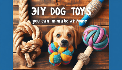 3 DIY Dog Toys You Can Make at Home - Talis Us