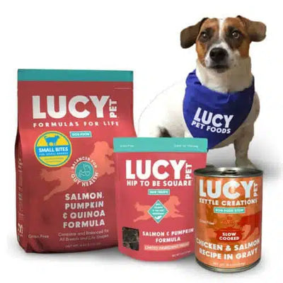 Finding the Best Nutrition for Your Furry Friend with Lucy Pet Food