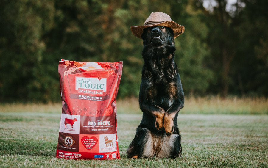 Where is nature's logic dog food made?