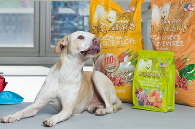 The Pawsome World of Kosher Pet Foods: The Story of Evanger's