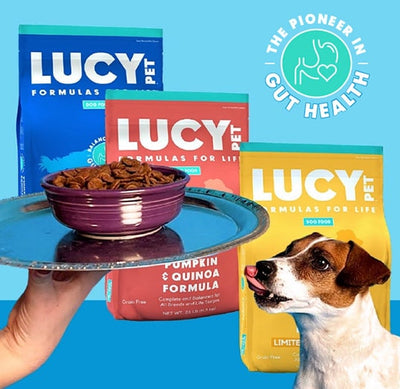 Is Lucy Dog Food Good for Puppies?