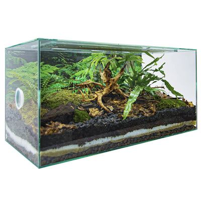 ANTCUBE Formicariums: Stylish Glass Ant Habitats for Collectors