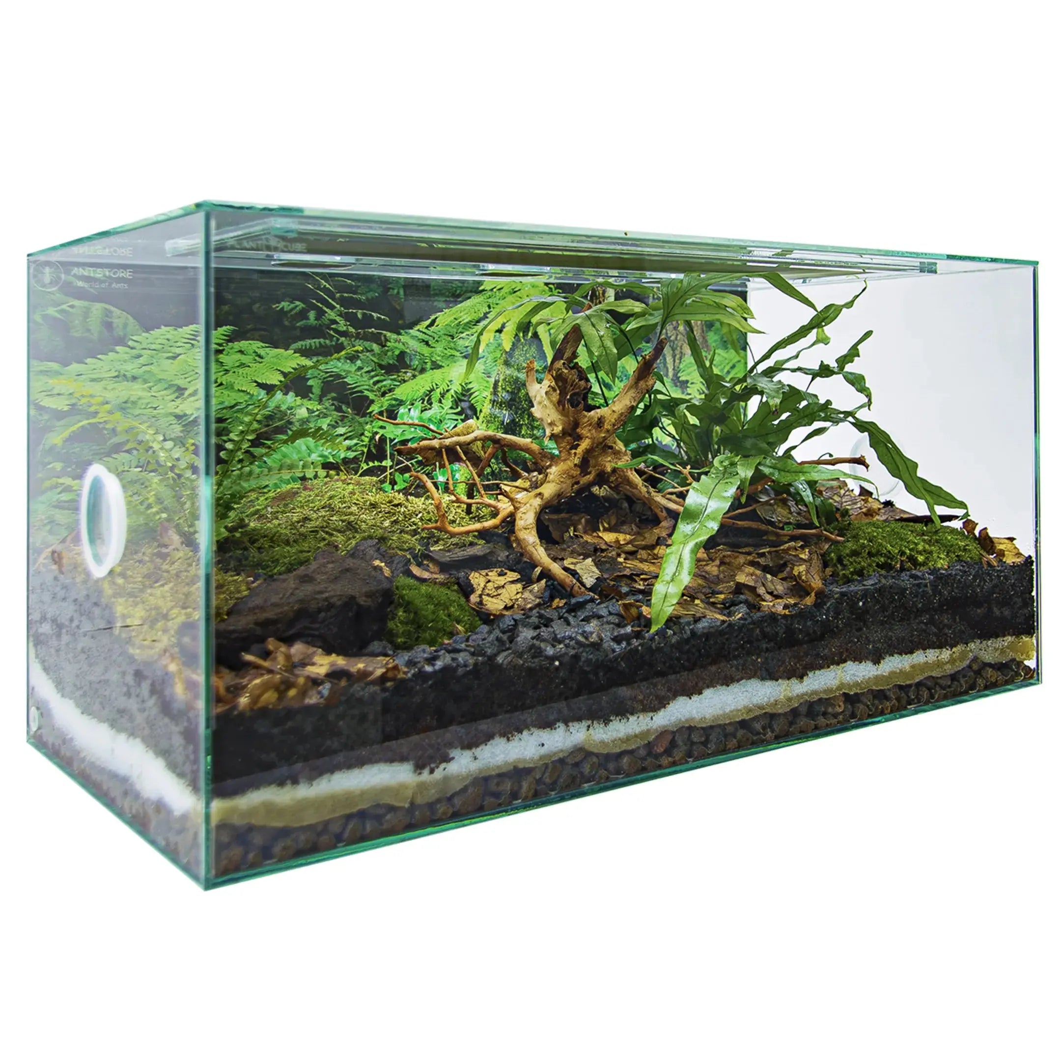 ANTCUBE-Formicariums-Stylish-Glass-Ant-Habitats-for-Collectors Talis Us