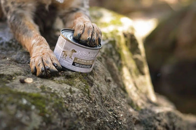 Base mix for homemade dog food - Talis Us