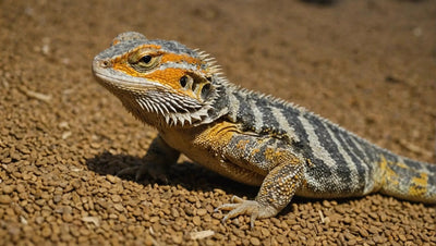 Bearded Dragon Daily Diet: Care and Tips for a Healthy Bearded Dragon Diet - Talis Us