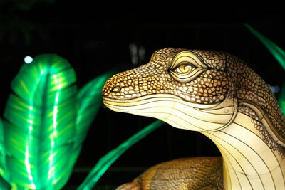 Benefits of Mercury Vapor Bulbs for Reptiles - Talis Us