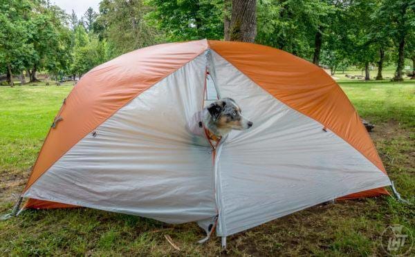 Camping with Your Dogs - Ten Commandments