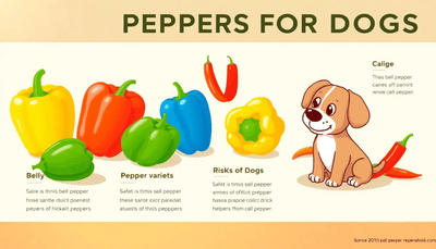 Can Dogs Eat Peppers? The Surprising Truth - Talis Us