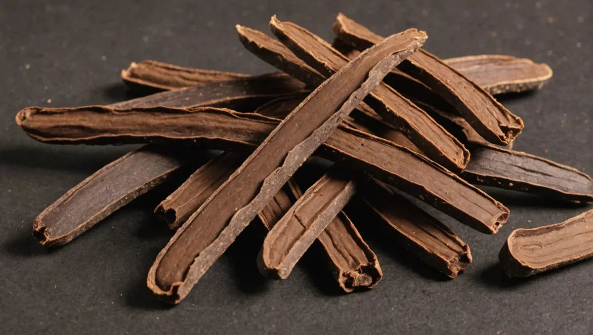 Carob: Safe Treats for Dogs - Talis Us