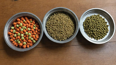 Cat Food - Small Batch Raw & Nutritious - Talis Us