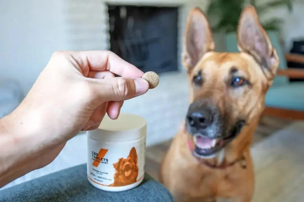 How to dehydrate chicken for dog treats - Talis Us