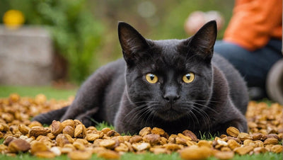 Discover the Best in Pet Supplies: High-Quality Products for Your Beloved Pets - Talis Us
