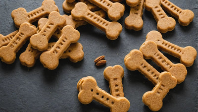 Discover the Health Benefits of Premium Natural Dog Treats - Talis Us