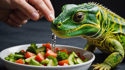 Discover the Nutritional Benefits of Gel Food for Reptiles - Talis Us