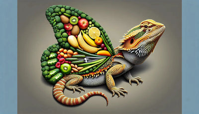 do bearded dragons like to hide - Talis Us