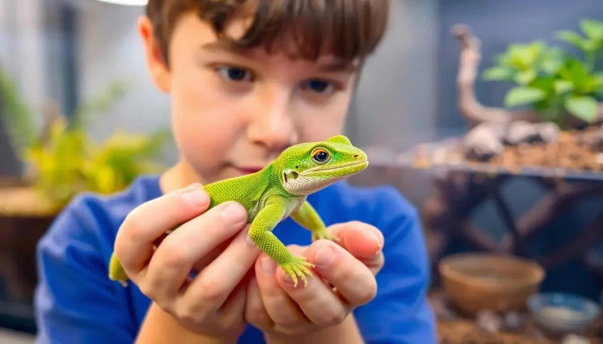 Do Pet Lizards Stink? The Surprising Truth About Reptile Odors - Talis Us