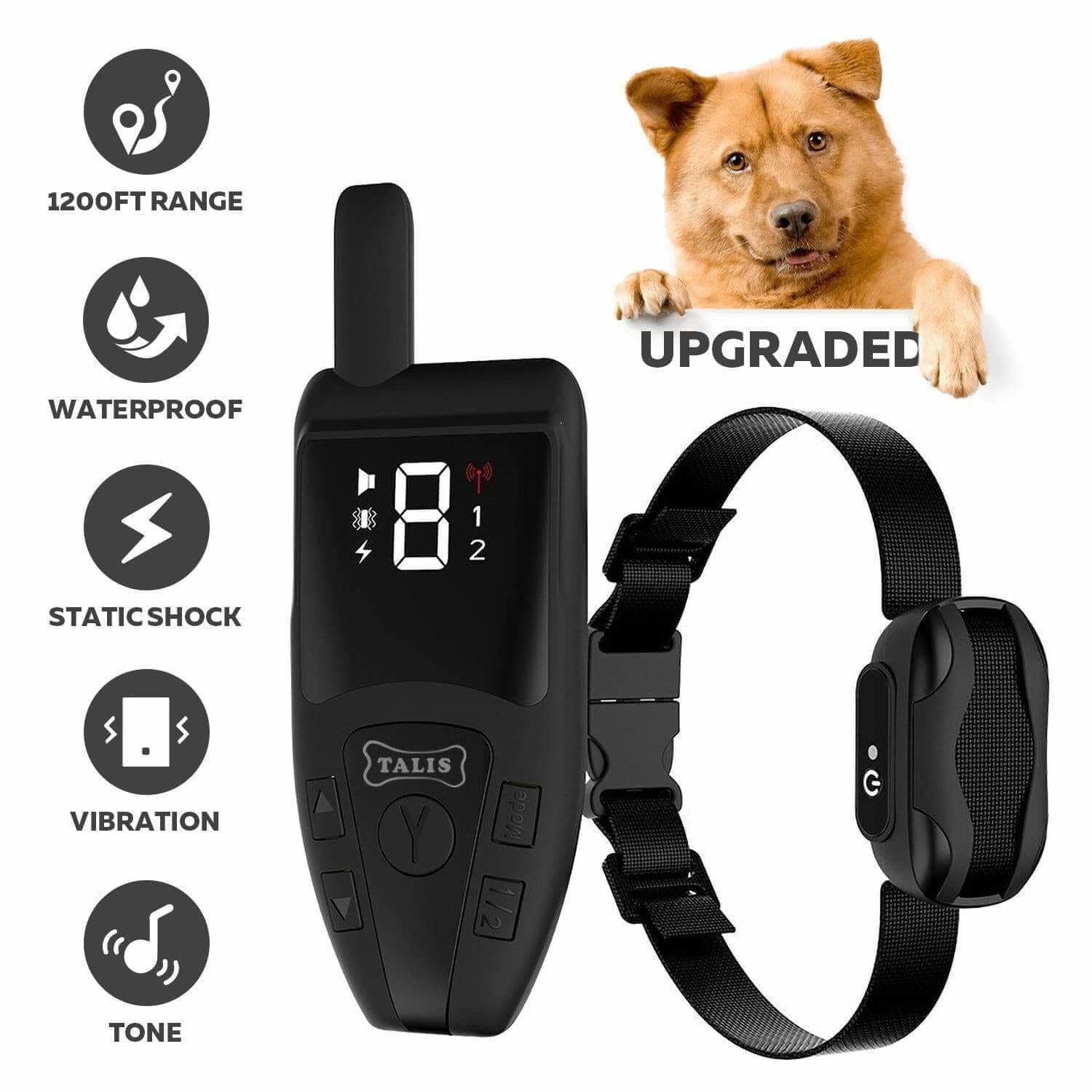 Dog Collar with Remote: The Best And Easiest Way To Train Your Dog